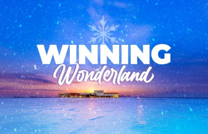 winning wonderland